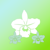 Orchidaceae Graden For PC Windows 1