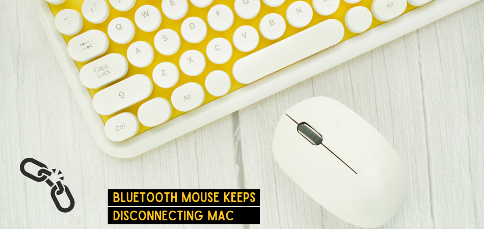 Bluetooth Mouse Keeps Disconnecting Mac [8 Solutions] 5