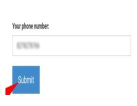 Enter your mobile number and submit