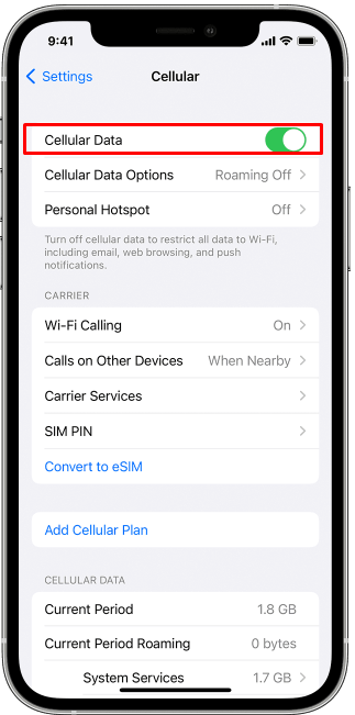Find and tap on Cellular Data