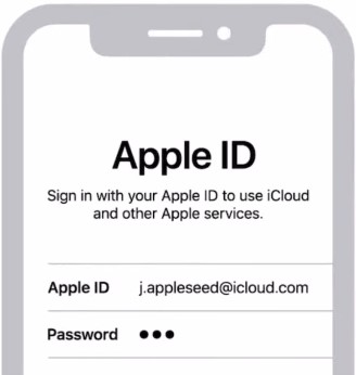 Input your Apple ID and password