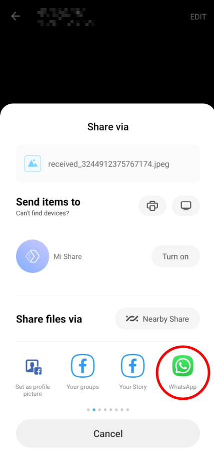 Share files via whatsapp