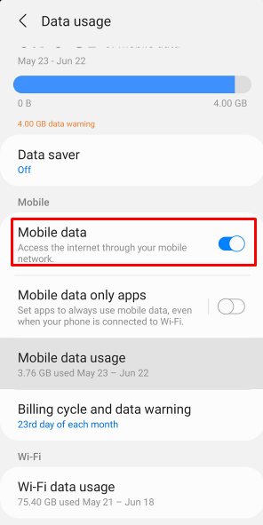 Tap Mobile Data to turn it on