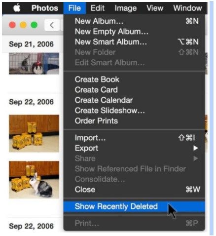 Where Do Sticky Notes Get Saved On A Mac