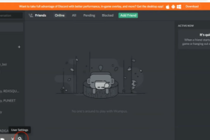 Discord Images Not Loading – How To Fix? 12