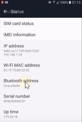 ip address and wlan mac address