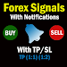 Ring Signals - Forex Buy/sell For PC Windows 1