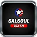 Salsoul 99.1 Fm Puerto Rico Ra For PC Windows 1