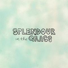 Splendour in the Grass For PC Windows 1