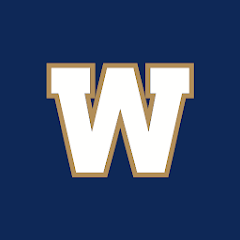 Blue Bombers For PC Windows 1