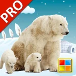 Animals Cards PRO For PC Windows