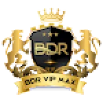 BDR VIP MAX For PC Windows
