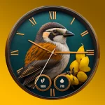 Beautiful Birds Watch Faces For PC Windows