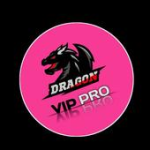 DARGON VIP PRO For PC Windows
