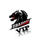 DRAGON VIP VPN For PC Windows