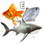 Fish Types | Goldfish Saltwate For PC Windows