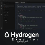 Hydrogen Executor For PC Windows