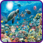 Live Underwater Wallpapers For PC Windows