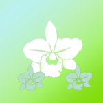 Orchidaceae Graden For PC Windows