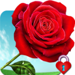 Red Rose Heart Pin Lock Screen For PC Windows