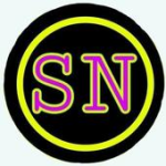 SN TUNNEL VPN For PC Windows