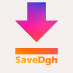 Save Dgh | Save Story , Videos Photo For PC