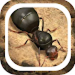 The Ants Underground Kingdom Tips For PC Windows