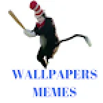The Cat In The Hat Bat Meme and Wallpaper For