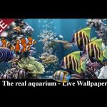 The real aquarium - LWP For PC Windows