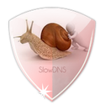 VPN Over DNS Tunnel : SlowDNS For PC Windows