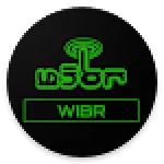 WIBR+ WIfi BRuteforce without root For PC Windows